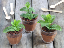 Cette mousse au chocolat façon pot de fleur sera la recette idéale pour régaler et éblouir sa maman pour la fête des mères