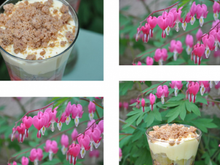 Verrine printannière rhubarbe-fraise au crumble de noisettes