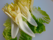Endive surprise