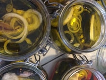 Sardines à l'huile