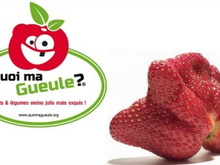 La revanche des fruits et légumes à la « gueule cassée »