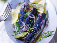 Recette des maquereaux grillés aux herbes
