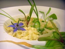 Risotto aux asperges vertes et yuzu