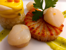 Marinade de Saint-Jacques à l'huile de safran et croquants de céleri