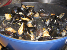 Moules marinières au gingembre et citronnelle