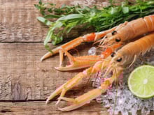 Comment réussir la cuisson des langoustines ?