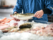 Poissons durables : voici les espèces moins connues à privilégier pour préserver l’océan