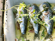 Poissons en marinade minute