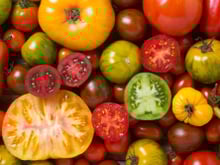 Est-ce bon de manger des tomates tous les jours en été ?