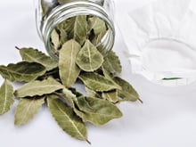 Les feuilles de laurier agissent sur le stress, l’anxiété et la nervosité