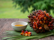 L'Indonésie suspend son exportation d'huile de palme, quelles conséquences pour la France ?