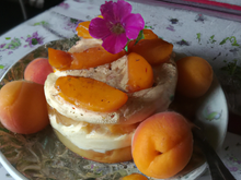 Le tiramitsu abricots-pêches et verveine.