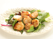 5 recettes pour sublimer la Saint-Jacques