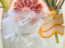 Cocktail Gin Fizz