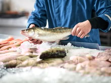 Quels poissons sont de saison au printemps ? Découvrez comment faire le bon choix !