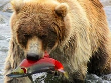 9 ID pour ne pas rentrer bredouille de la pêche cet été