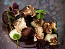 Champignons de Paris, café illy et purée de panais