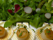 Noix de coquilles Saint Jacques dorées, marinade croquante de légumes, salade d'herbes tendres