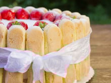 Charlotte légère aux fruits