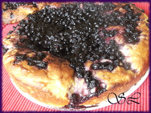 Tarte briochée à la myrtille