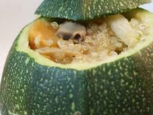 Courgettes farcies au quinoa