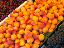 La saison des abricots se termine : voici ceux à privilégier pour les confitures ou la congélation selon cette primeur MOF