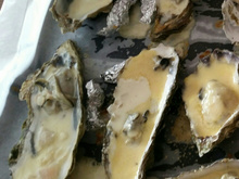 Huîtres chaudes gratinées au camembert