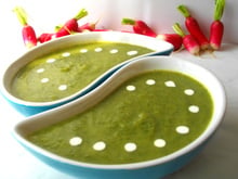 Velouté de fanes de radis parfumé au gingembre et à la coriandre