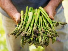 Ce légume de saison est le meilleur anti-inflammatoire naturel du printemps