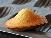 Madeleines à la vanille