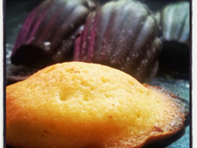 Madeleines au citrons en coque de chocolat noir sans lactose