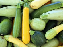 On a trouvé la recette parfaite pour l’apéro… et pour garder vos courgettes toute l’année !