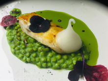 Turbot vapeur, coulis de petits pois à la verveine et au wasabi