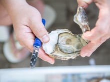 Comment ouvrir les huîtres ?