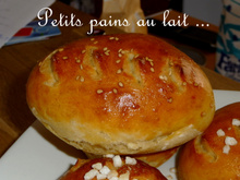 Petits pains au lait salés ou sucrés