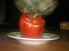 Poivrons farcis au thon classiques