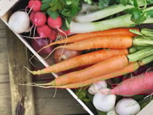 Ce légume est excellent pour la digestion et l’entretien du microbiote d’après ce gastro-entérologue