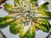 Salade de chicons (endives) au Roquefort Papillon