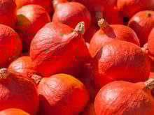 Alerte rappel produit : Si vous aimez le potimarron, faites attention !