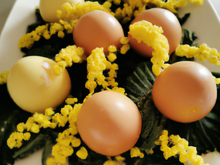 Œufs mimosa express