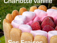 Charlotte vanille et ses fraises ...