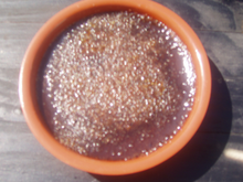 Crème brûlée facile au chocolat