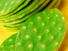 Salade au cactus, à la betterave et à l'orange