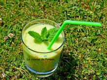 Gaspacho au melon vert