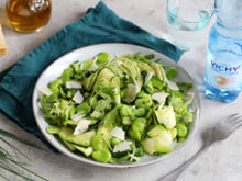 Salade de courgettes, fèves, avocat, roquette et parmesan