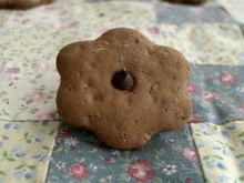 Mes rapid' biscuits de 16 heures