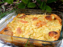 Clafoutis à la rhubarbe, cannelle et abricots sechés