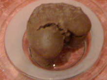 Moelleux chocoramel aux pignons cœurs fondants chocolat