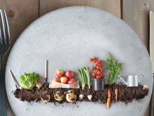 Qu'est-ce qu'on sème en Janvier ?