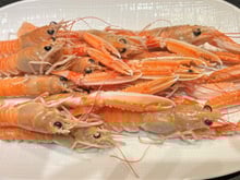 Voilà pourquoi vous allez acheter vos langoustines crues cette année